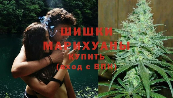 ПСИЛОЦИБИНОВЫЕ ГРИБЫ Зерноград