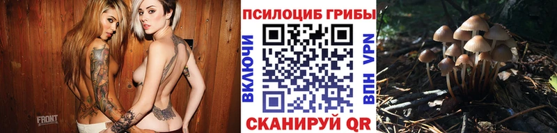 Купить где  Ивангород  Псилоцибиновые грибы ЛСД 