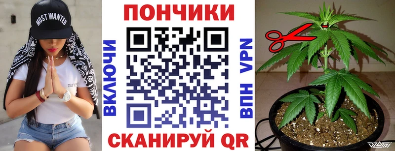 Конопля OG Kush  Купить  Ивангород 